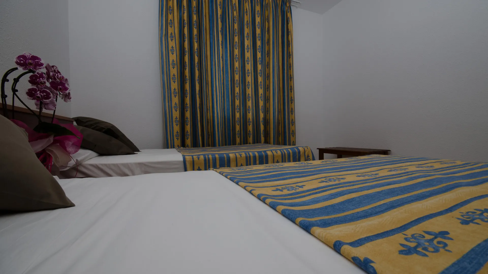 Apartaments Els Llorers Lloret de Mar 2*,  Spain